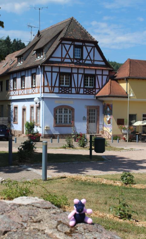 Sheila at Trois Epis