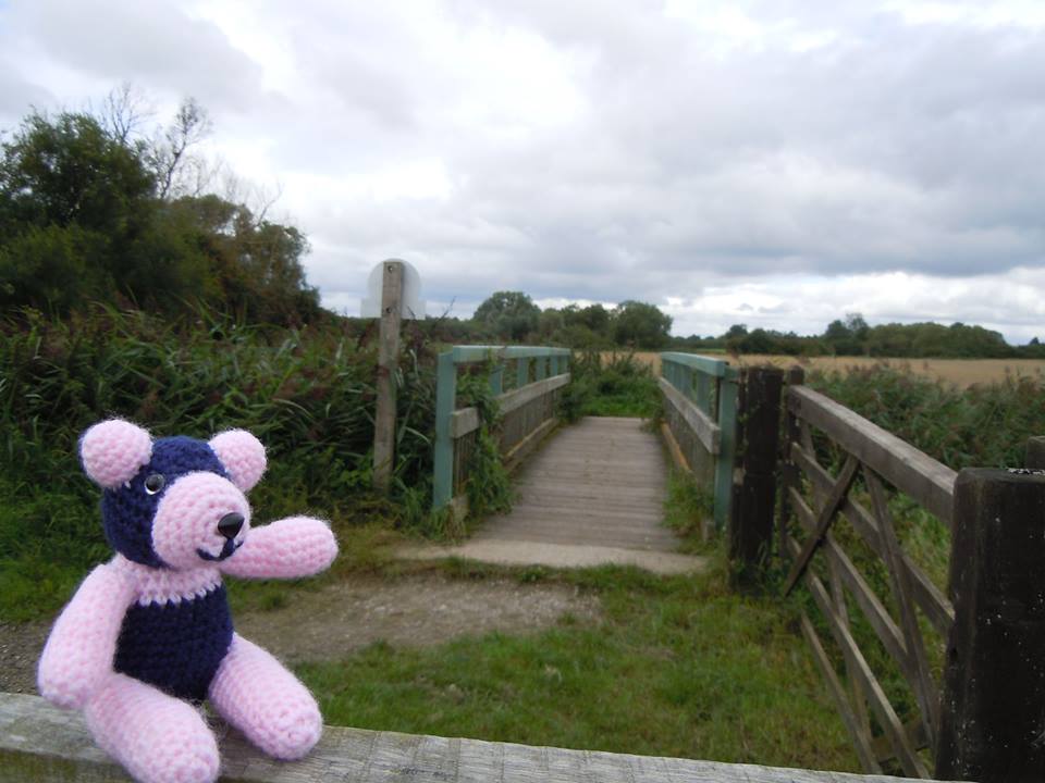 Panda Mick at Wicken Fen