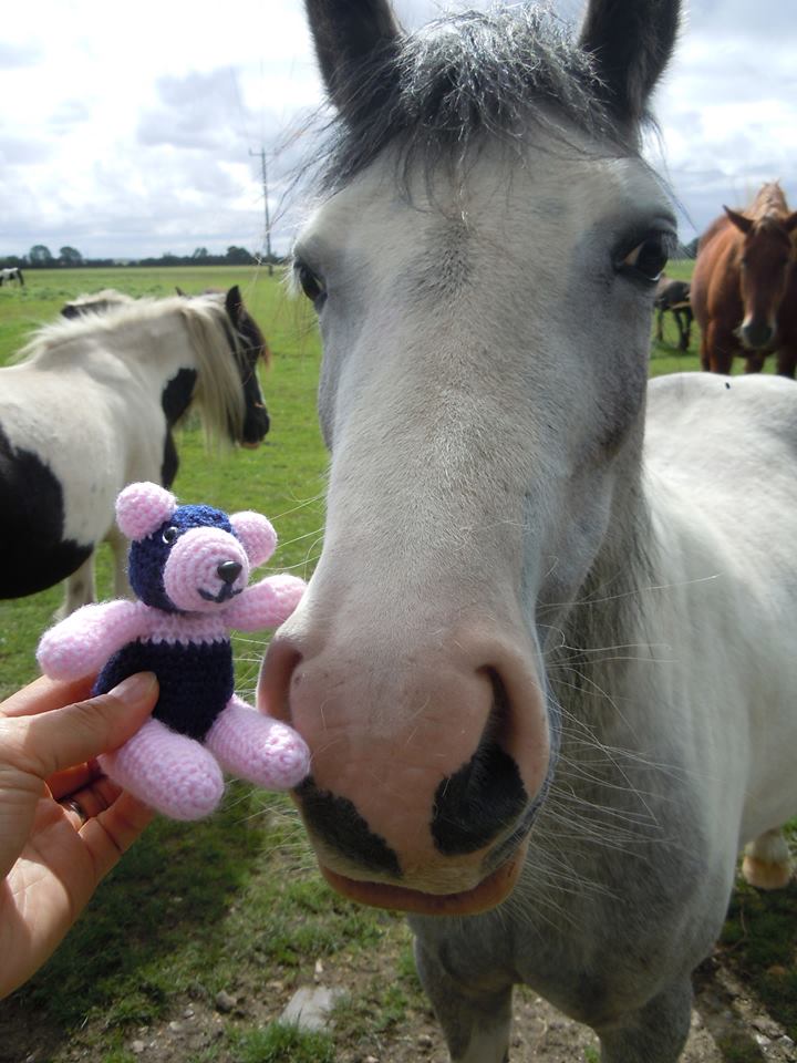Panda Mick with a horse
