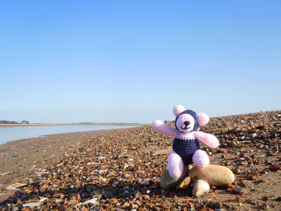 Panda Mick on the beach