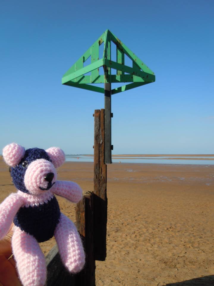 Panda Mick on the beach