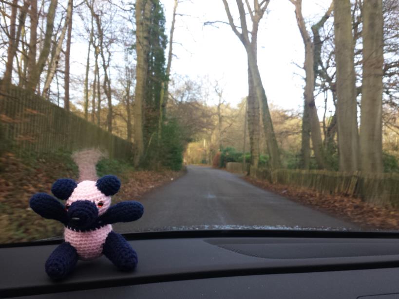 Jo on a car dashboard with a road behind