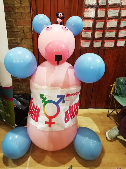 Giant panda at Ely Pride