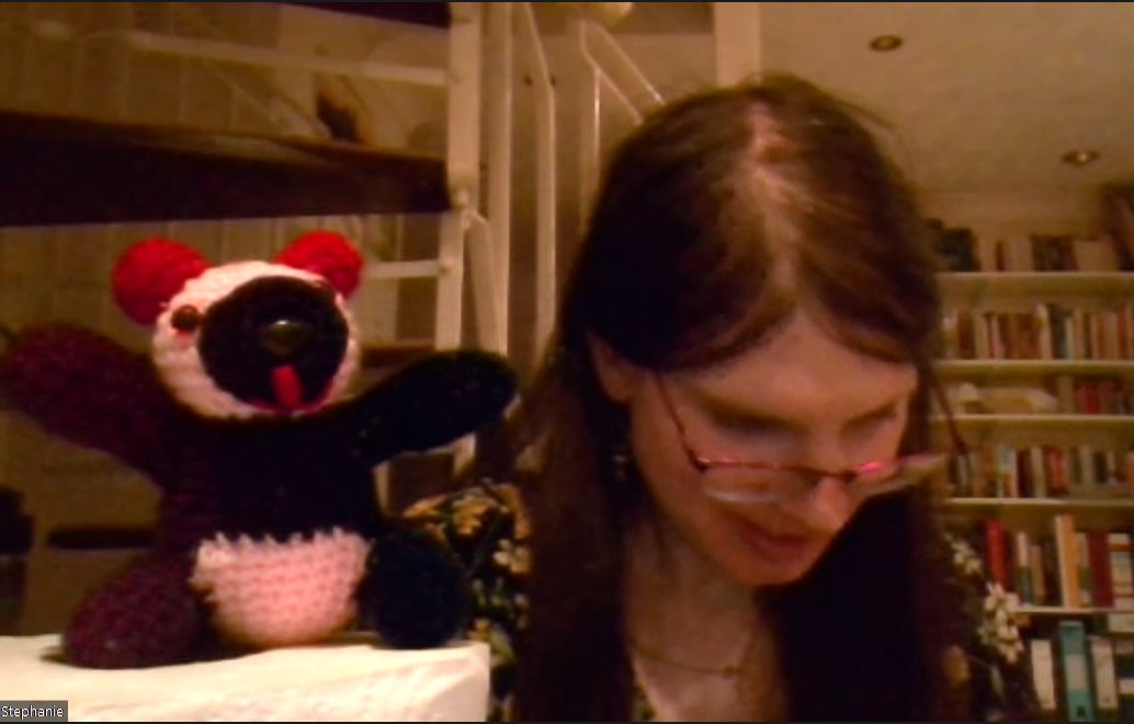 Panda on a Zoom call