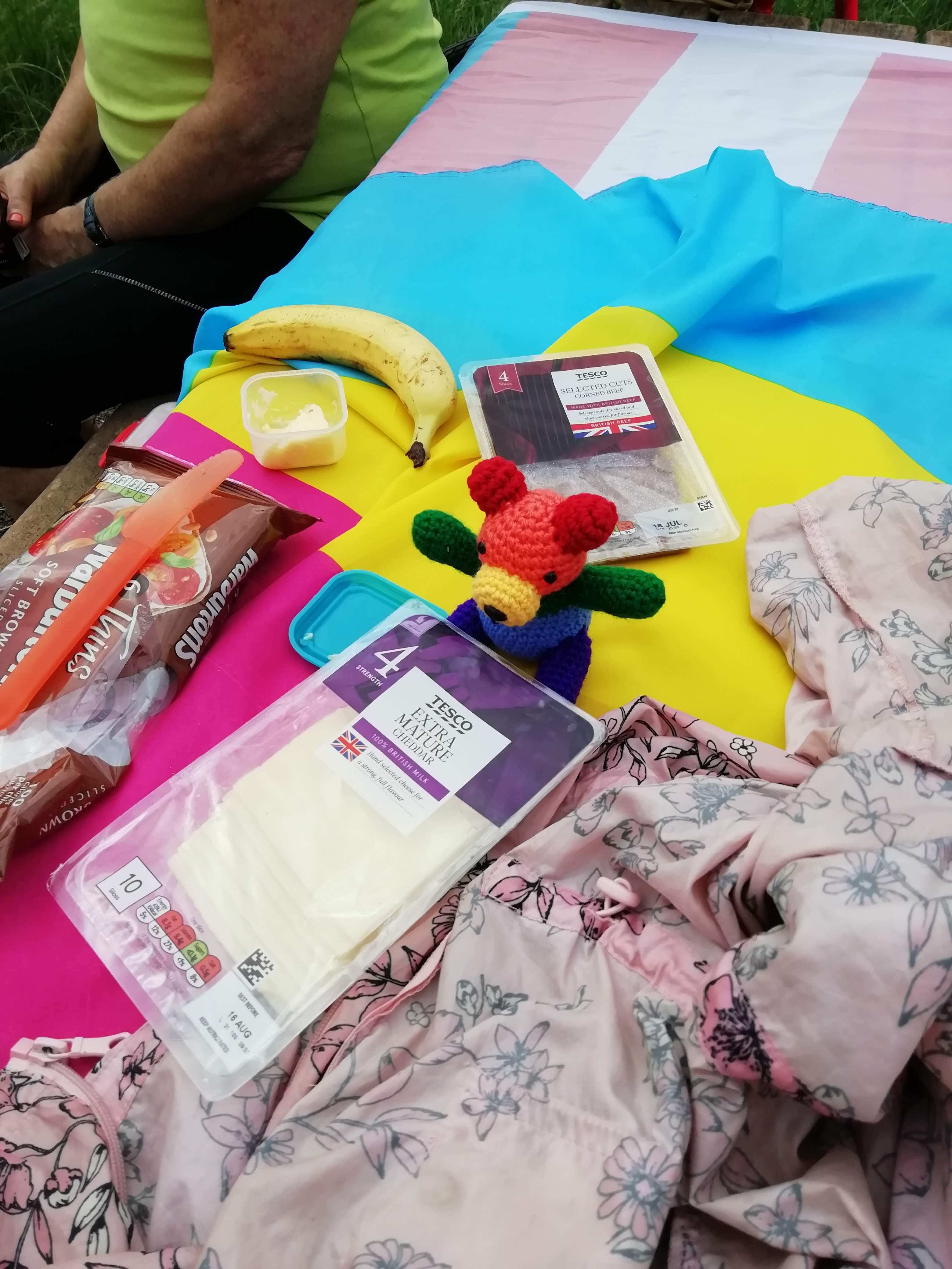 Panda on picnic table with food and trans flag