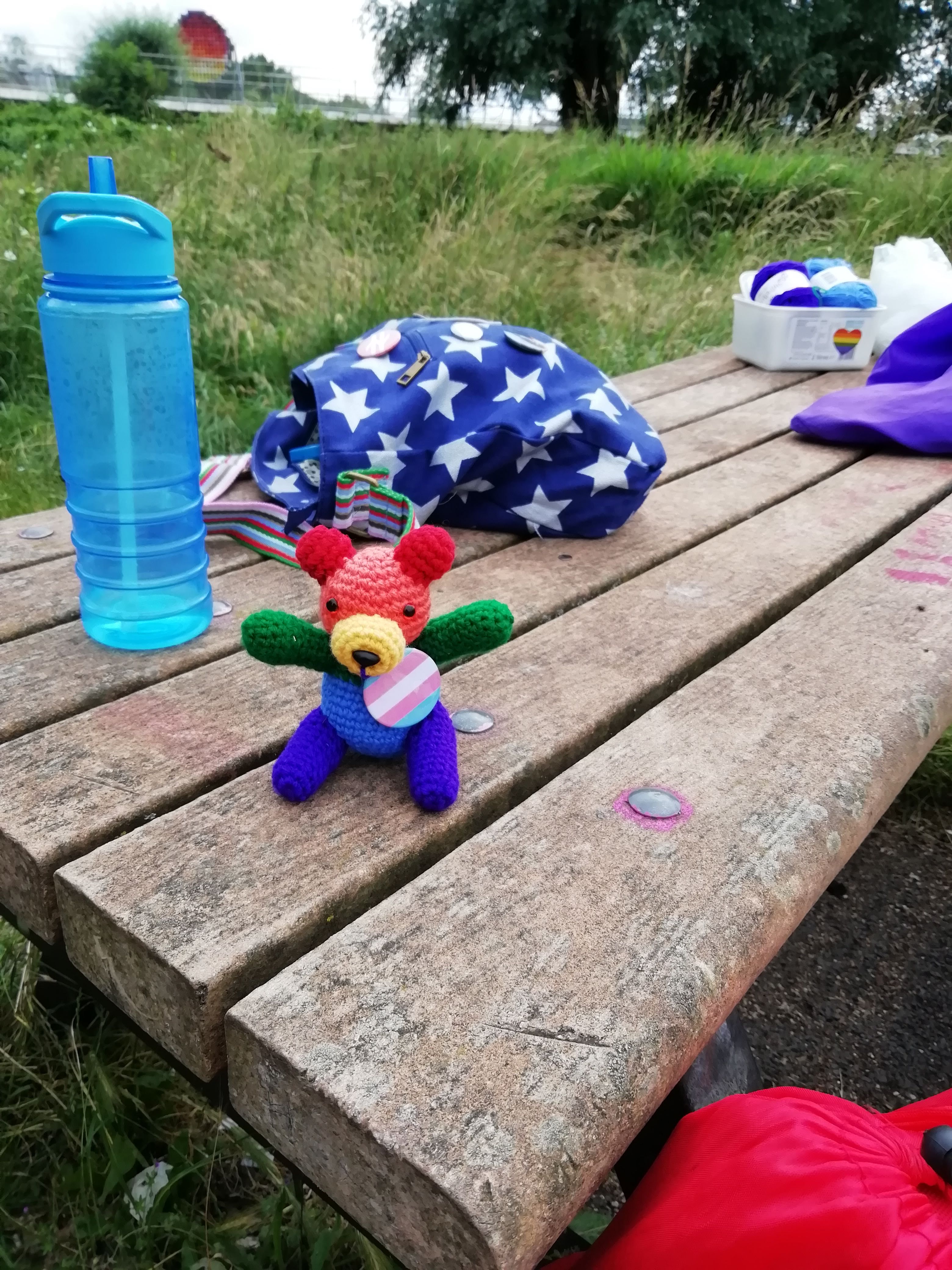 Panda on picnic table with trans badge